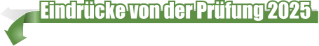 Eindrücke von der Prüfung 2025